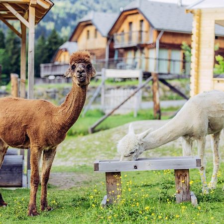 Alpenchalet Alpakablick Sankt Lorenzen ob Murau Kültér fotó